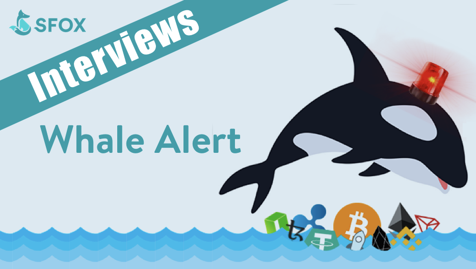 Whales Alert